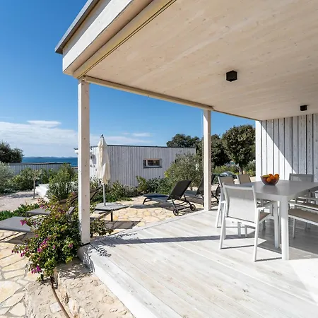 Sunshine Buqez 드라게