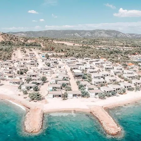 Sunshine Buqez * ドラゲ