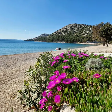 Sunshine Buqez ヴィラ *